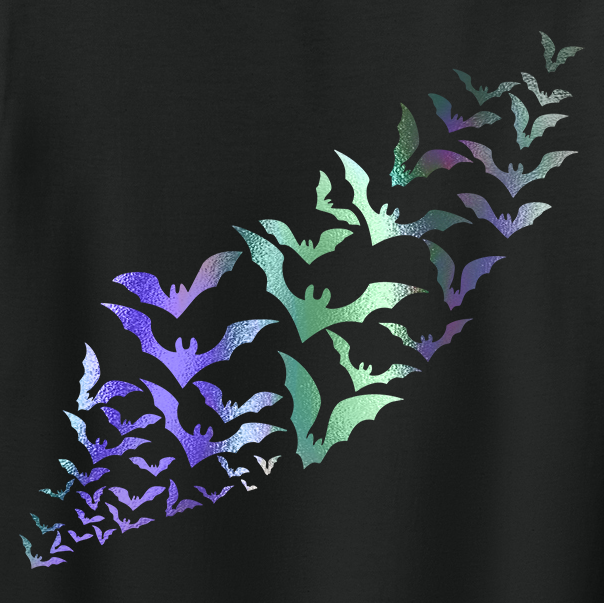 Holographic Bats